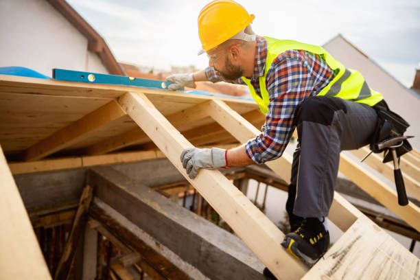 Best Roof Gutter Cleaning  in Middlesborough, KY