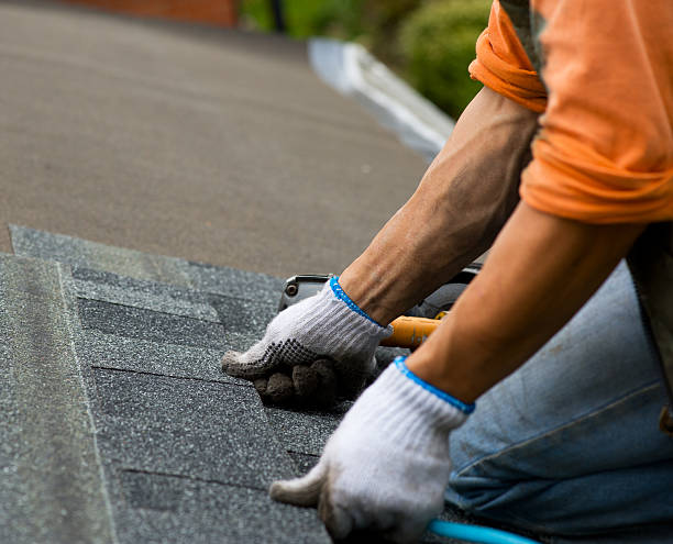 Best Roof Repair Services  in Middlesborough, KY