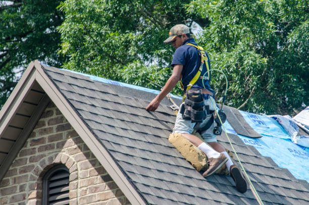 Best Storm Damage Roof Repair  in Middlesborough, KY